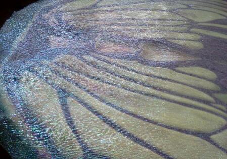 Name:  IMG_20140405_152517-1.jpg
Views: 578
Size:  38.9 KB