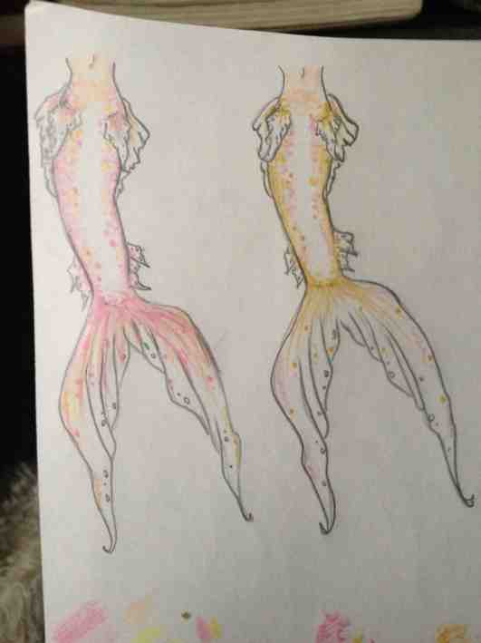 Name:  ImageUploadedByTapatalk1397066190.946351.jpg
Views: 835
Size:  15.3 KB