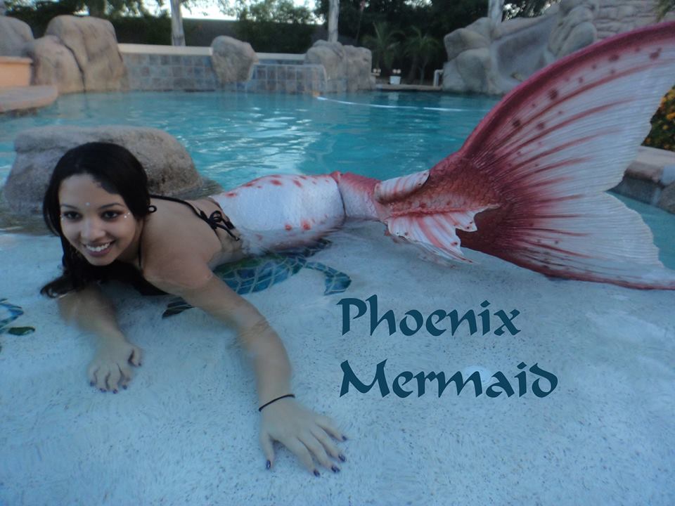 Name:  10155795_1399583083651978_5060539622012526589_n.jpg
Views: 855
Size:  86.0 KB