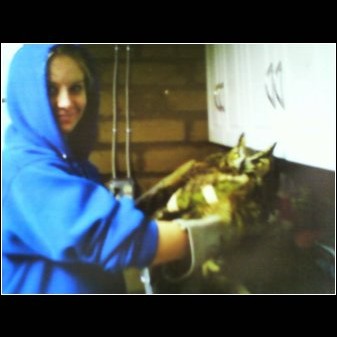 Name:  evil owl.jpg
Views: 778
Size:  42.2 KB