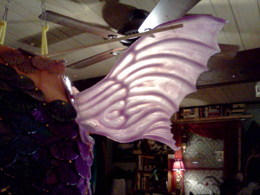 Name:  translucent side fin.jpg
Views: 566
Size:  646.8 KB