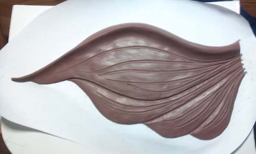 Name:  fin2.jpg
Views: 309
Size:  34.2 KB
