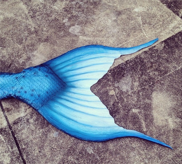 Name:  bluetail.png
Views: 621
Size:  871.9 KB
