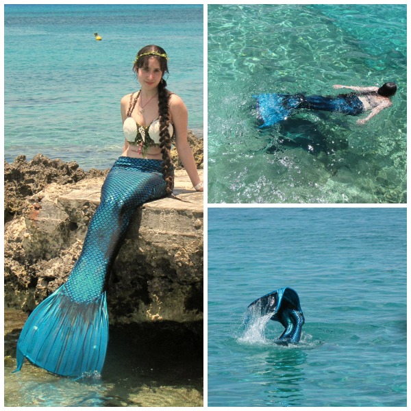 Name:  Collage.jpg
Views: 625
Size:  146.7 KB