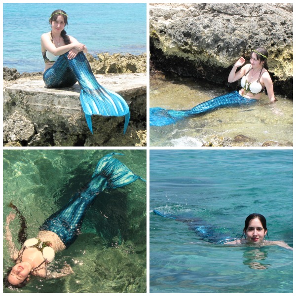 Name:  PicMonkey Collage.jpg
Views: 656
Size:  156.5 KB