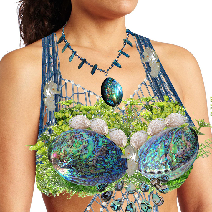 Name:  Mermaid Galene shell top plan.jpg
Views: 5101
Size:  564.6 KB