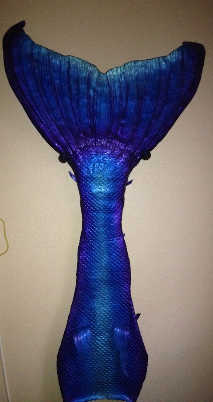 Name:  tail stand 1.jpg
Views: 640
Size:  105.3 KB