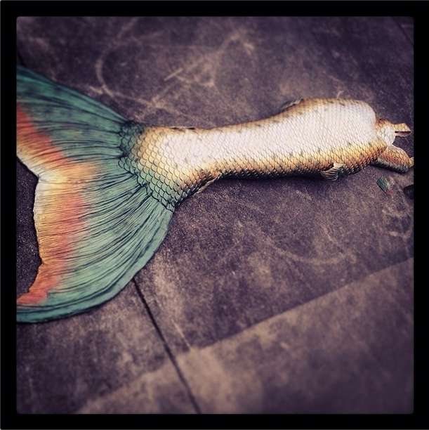 Name:  mer tail.png
Views: 433
Size:  753.7 KB