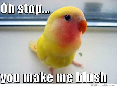 Name:  oh-stop-you-make-me-blush.jpg
Views: 494
Size:  21.9 KB
