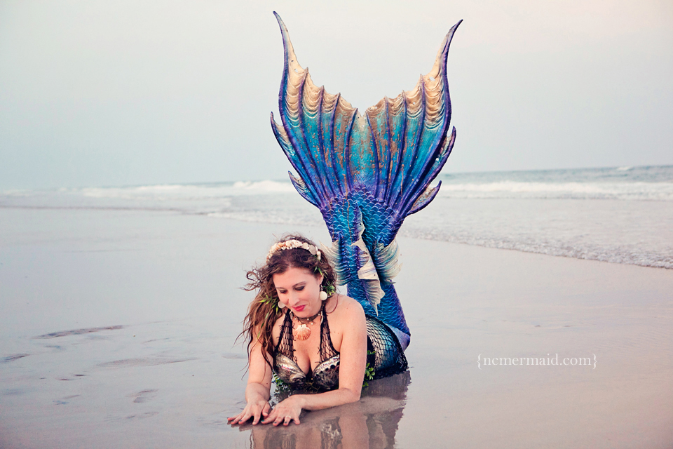 Name:  _MG_9609s.jpg
Views: 952
Size:  428.0 KB
