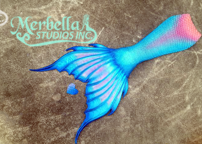 Name:  shellfish(1).jpg
Views: 390
Size:  413.5 KB