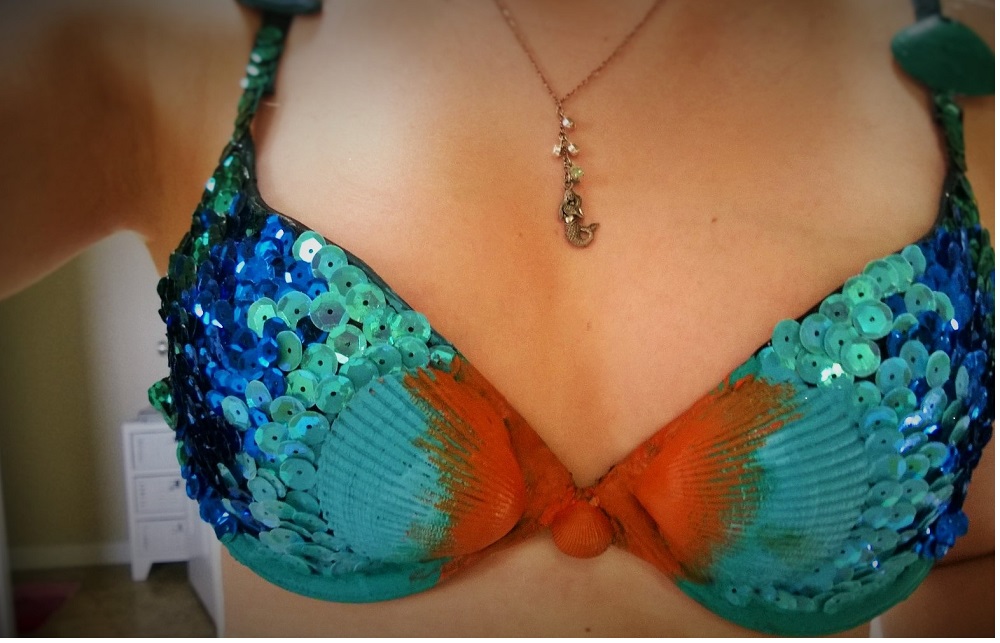 Name:  bra small.jpg
Views: 2266
Size:  214.2 KB