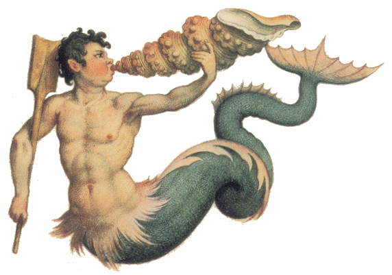Name:  triton[1].gif
Views: 3213
Size:  93.0 KB