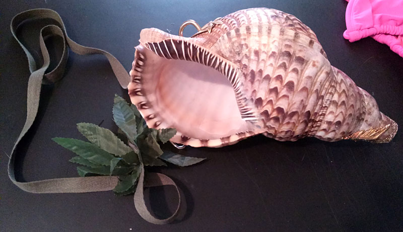 Name:  shell1.jpg
Views: 522
Size:  107.2 KB