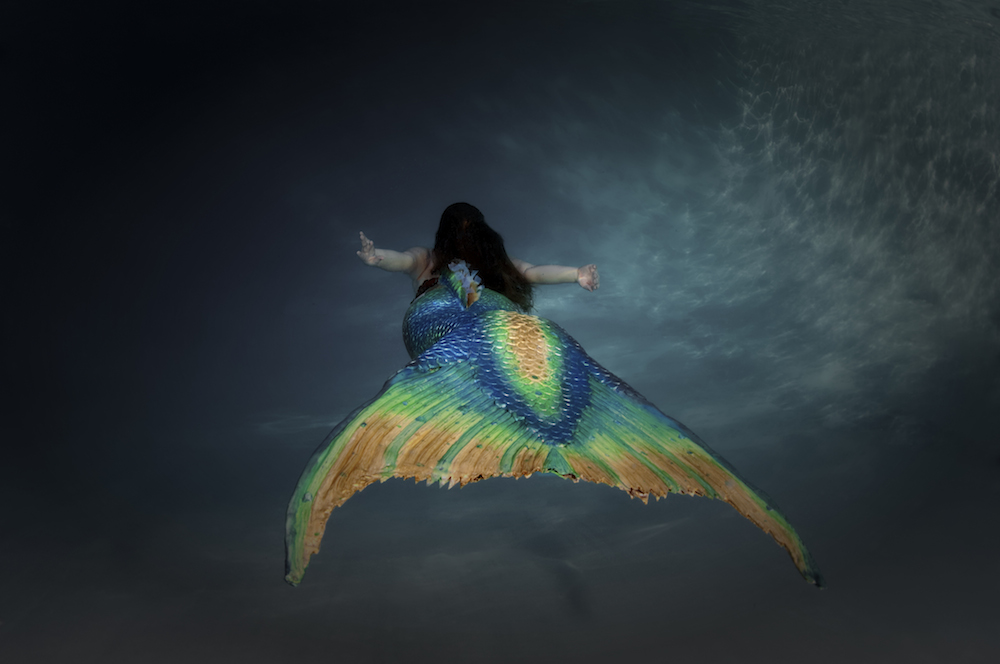 Name:  Tail Swimming Away Small.jpg
Views: 1021
Size:  213.2 KB