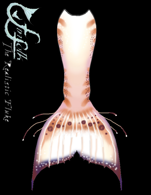 Name:  tail front.jpg
Views: 378
Size:  142.5 KB