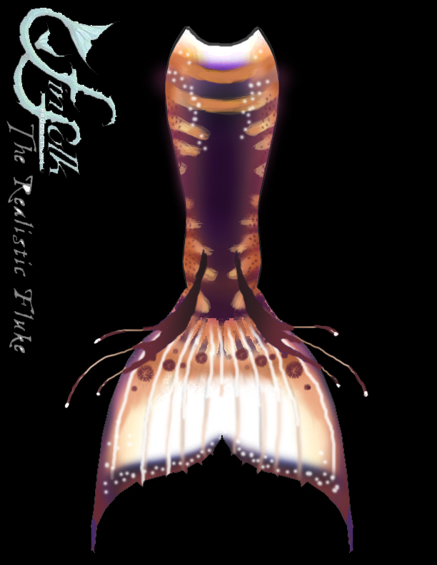 Name:  tail back.jpg
Views: 375
Size:  162.8 KB