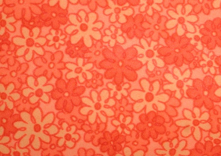 Name:  daisy orange.JPG
Views: 1083
Size:  79.6 KB