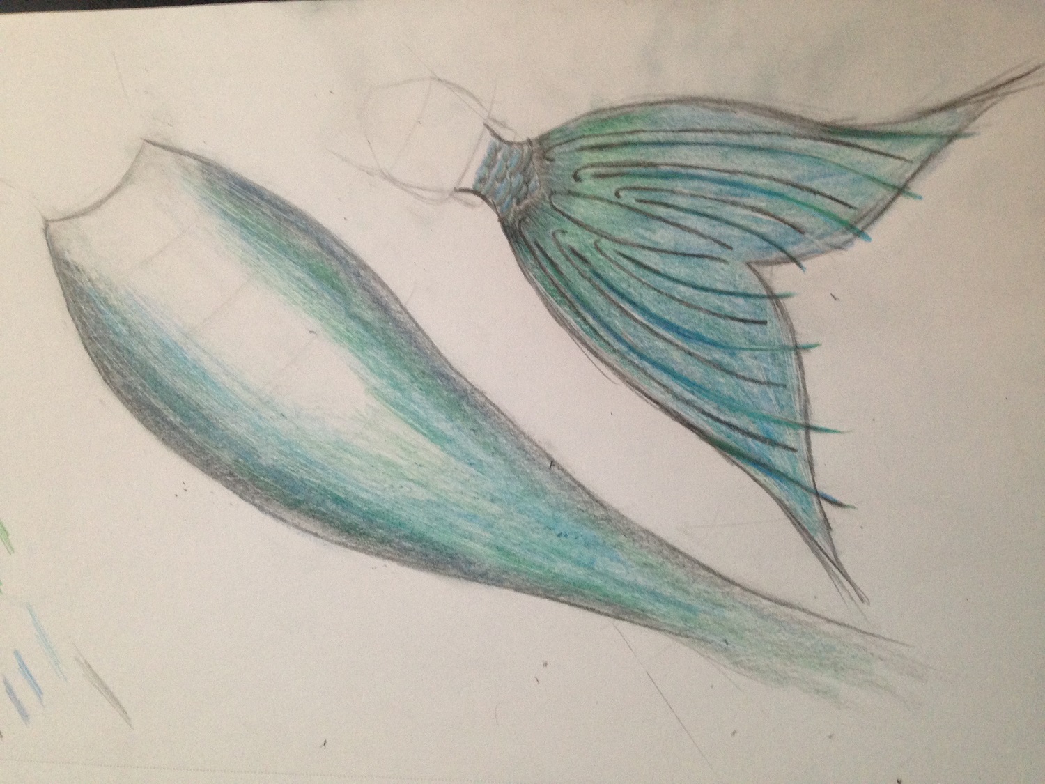 Name:  color.jpg
Views: 1024
Size:  492.9 KB