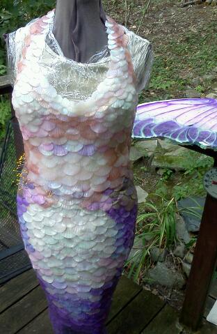 Name:  IMG_20140824_123053-1.jpg
Views: 449
Size:  35.6 KB