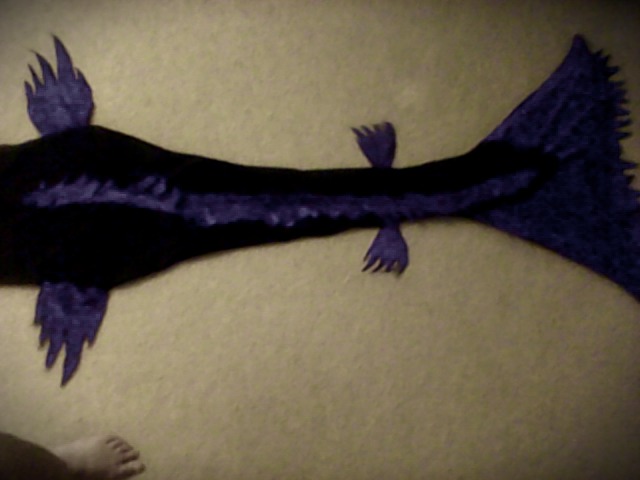 Name:  tail back.jpg
Views: 751
Size:  44.8 KB