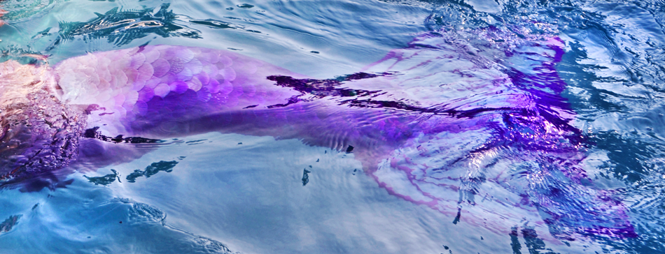 Name:  Screen shot 2014-08-29 at 9.21.56 AM.png
Views: 410
Size:  667.0 KB