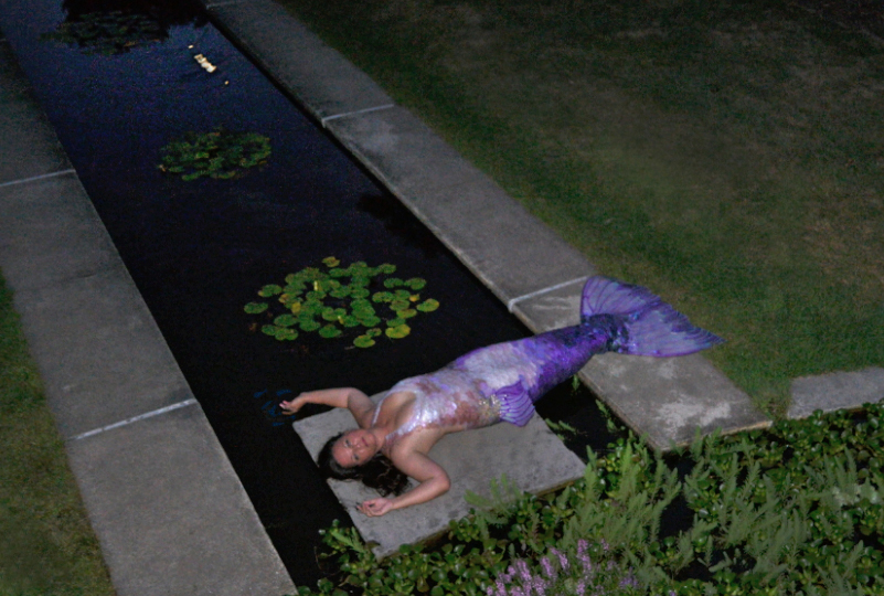 Name:  Near dark.jpg
Views: 843
Size:  388.7 KB