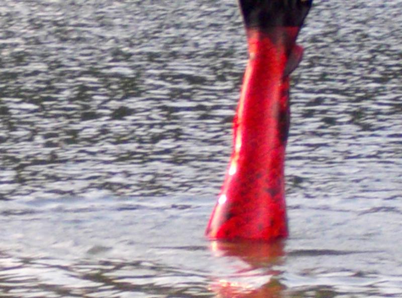 Name:  DSCN0669.jpg
Views: 917
Size:  72.6 KB