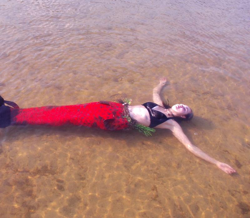Name:  DSCN0692.jpg
Views: 970
Size:  66.4 KB