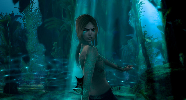 Name:  14996192662_09a078e4db_z.jpg
Views: 684
Size:  123.0 KB