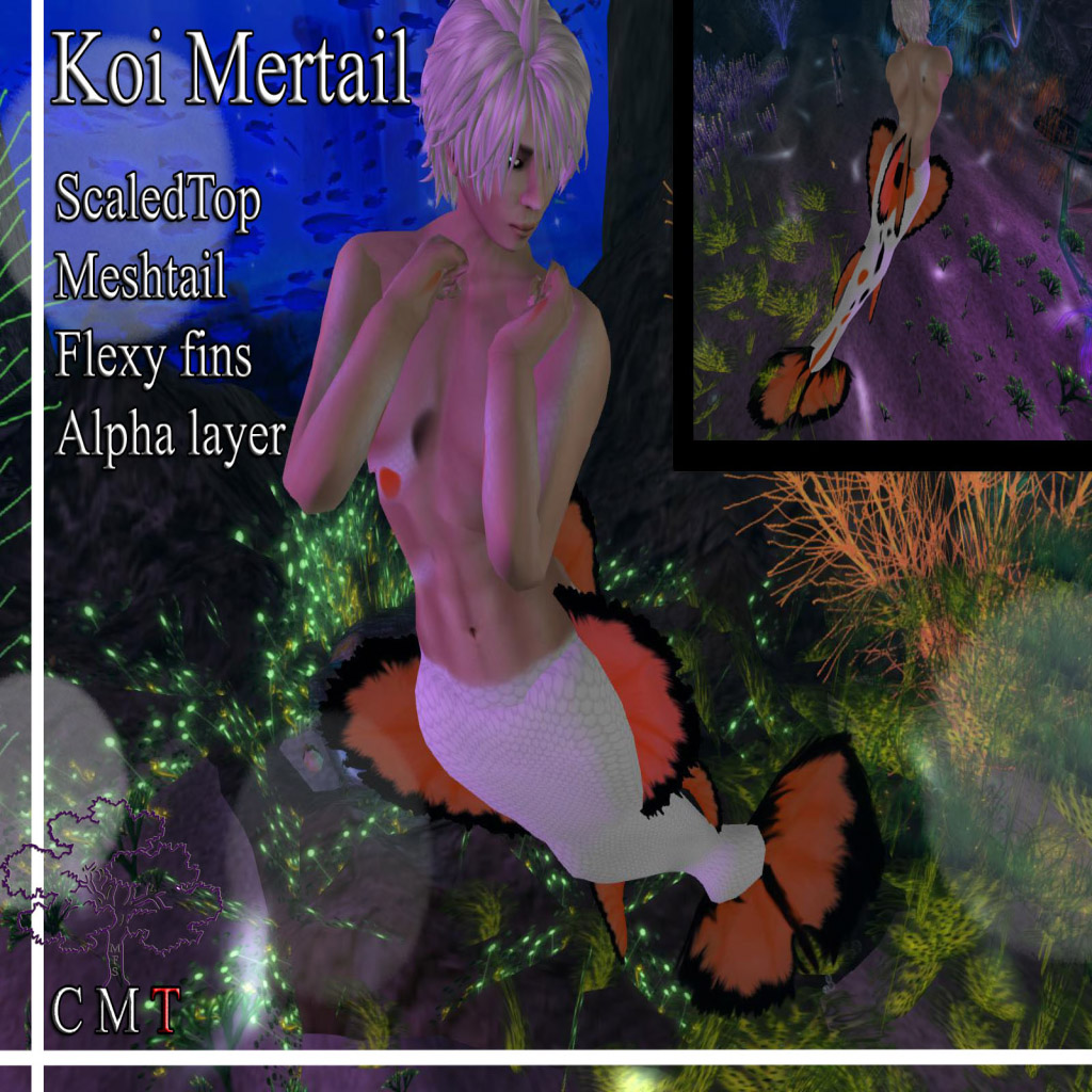 Name:  Koi Mermaid tail Advertisement 1.jpg
Views: 893
Size:  314.3 KB