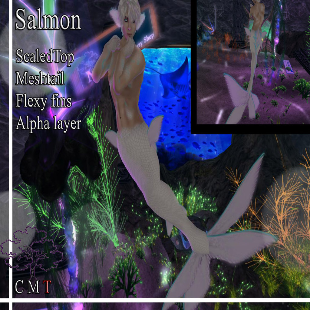 Name:  Salmon mer Avatar Advertisement 1.jpg
Views: 739
Size:  317.8 KB