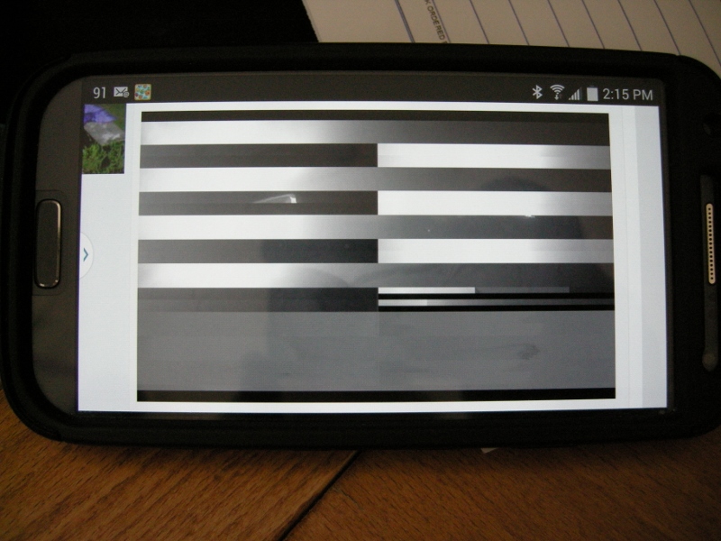 Name:  DSCN4897 (800x600).jpg
Views: 518
Size:  222.5 KB