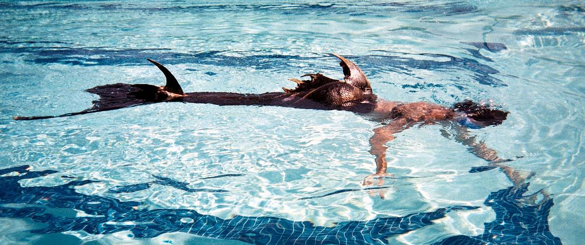 Name:  swimming2.jpg
Views: 2810
Size:  163.2 KB