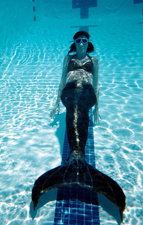 Name:  swimming.jpg
Views: 2550
Size:  96.7 KB