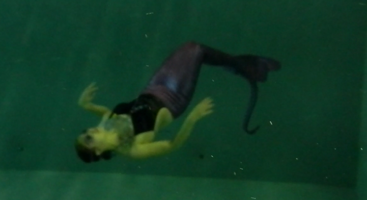 Name:  Capture mermaid.PNG
Views: 1873
Size:  488.1 KB