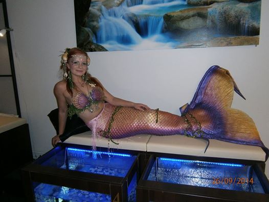 Name:  10689724_608554289263349_3928749066468216801_n.jpg
Views: 2098
Size:  34.1 KB