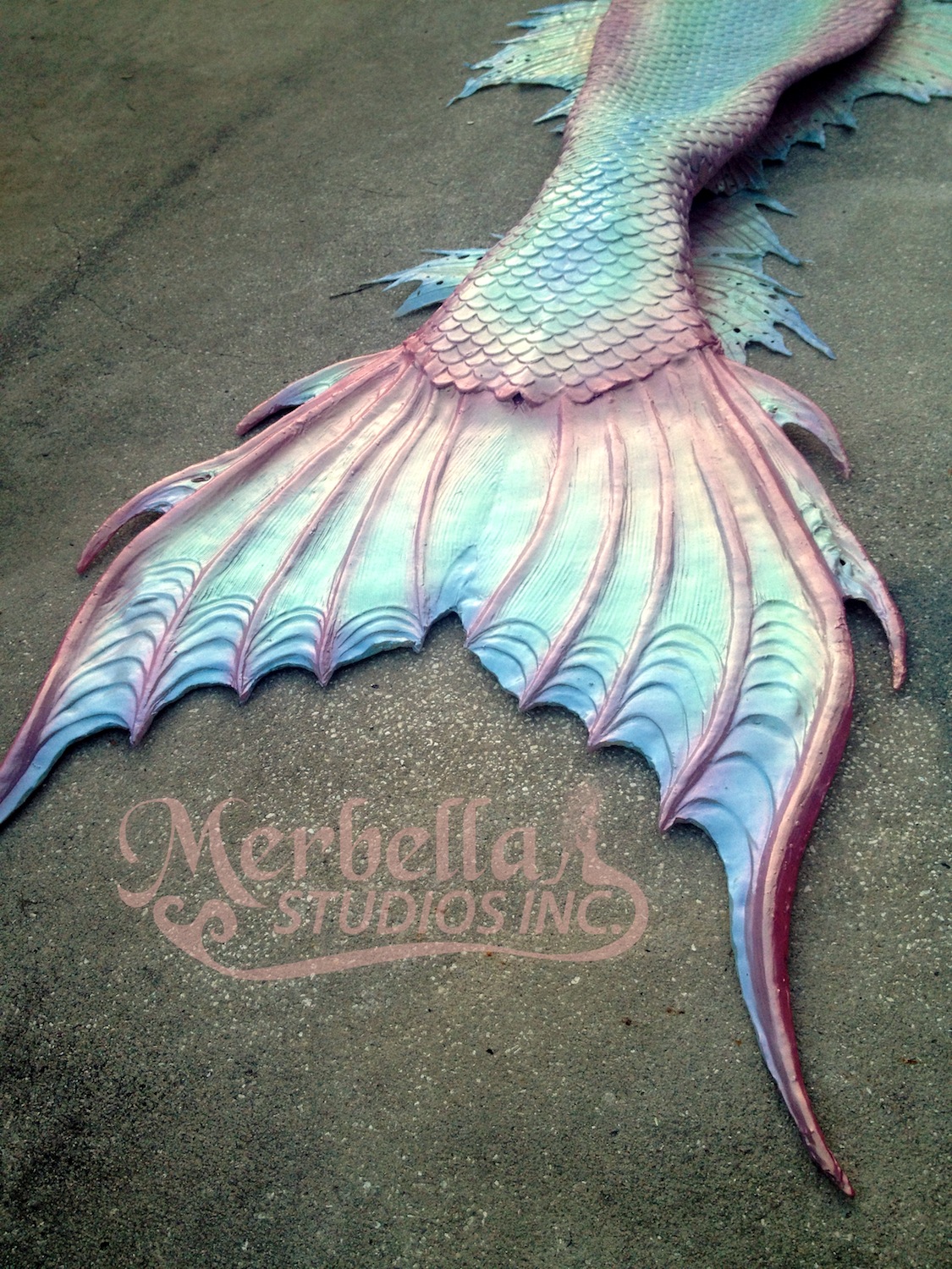 Name:  PinkOpalSeadragon.jpg
Views: 498
Size:  641.5 KB