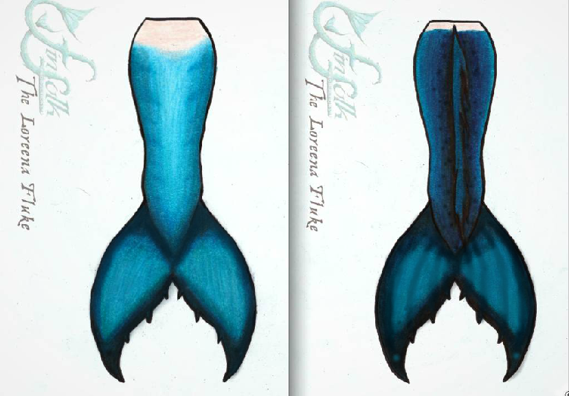 Name:  New Design.png
Views: 894
Size:  413.7 KB