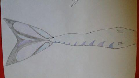 Name:  mertail.jpg
Views: 728
Size:  10.3 KB