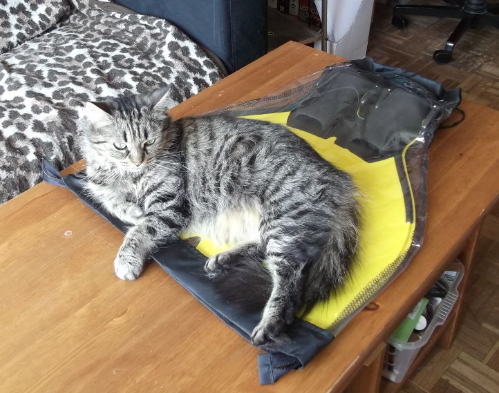Name:  Fluffy 051.JPG
Views: 304
Size:  94.9 KB