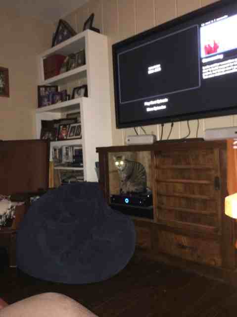Name:  ImageUploadedByTapatalk1419057466.444477.jpg
Views: 283
Size:  13.5 KB