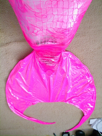 Name:  tail.JPG
Views: 106
Size:  170.7 KB