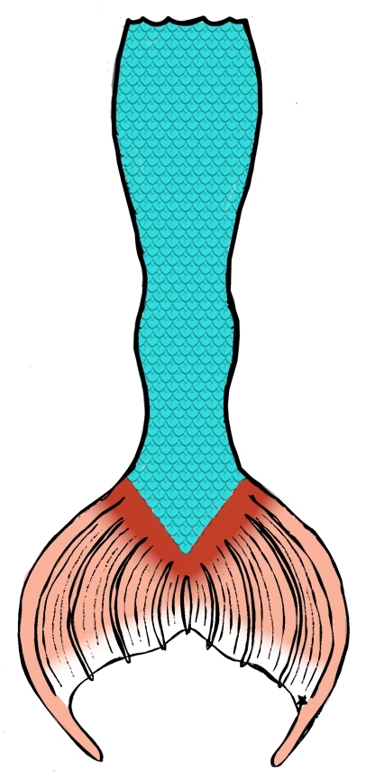 Name:  fins - Copy4.jpg
Views: 712
Size:  165.8 KB