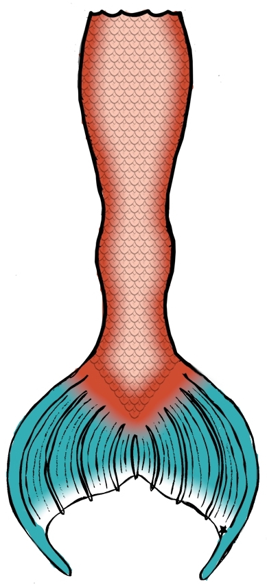 Name:  image.jpg
Views: 713
Size:  164.6 KB