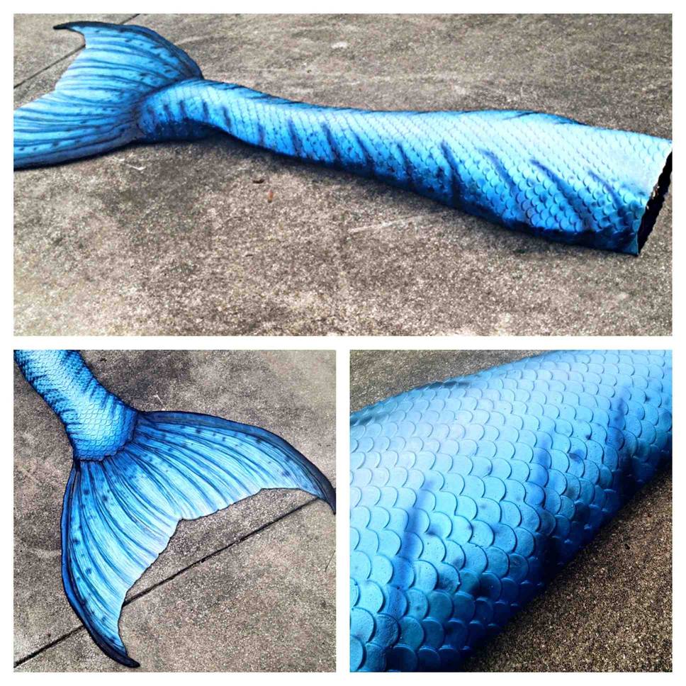 Name:  rsz_tail_3.jpg
Views: 344
Size:  198.6 KB