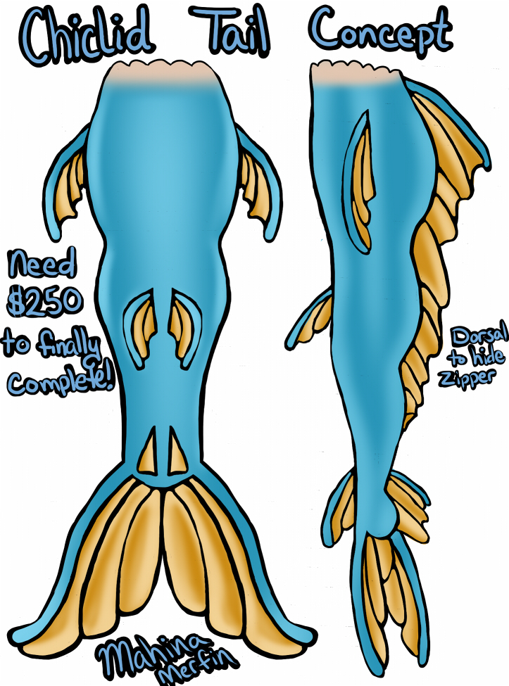 Name:  Mer001.jpg
Views: 1002
Size:  603.2 KB