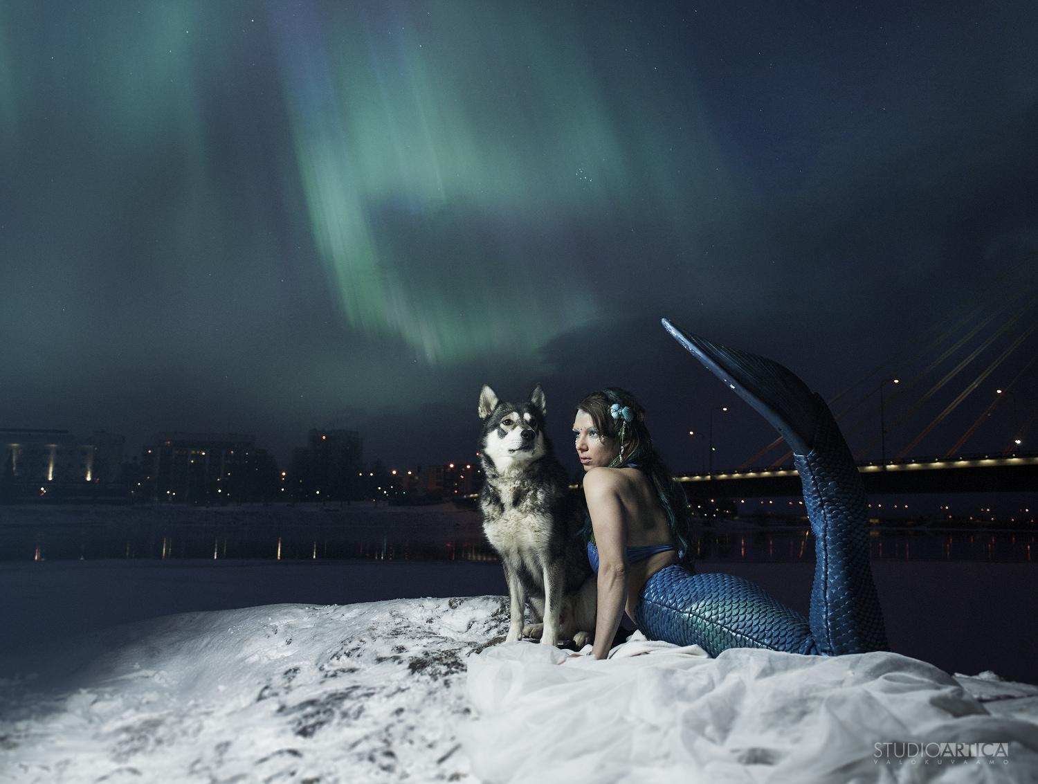 Name:  husky2.jpg
Views: 1007
Size:  603.8 KB