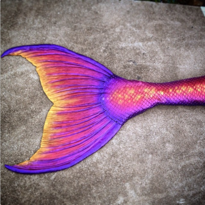 Name:  Merbella Fluke.png
Views: 1368
Size:  411.1 KB