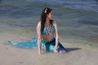 Name:  LZ5A2707.jpg
Views: 680
Size:  16.5 KB